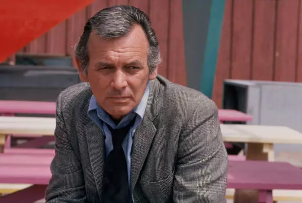 The 1974-1975 Primetime TV Season: David Janssen And 'Harry O' - An Appreciation